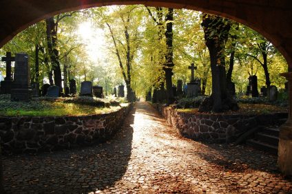 Cimetière automne