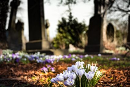 fleurs tombe Toussaint